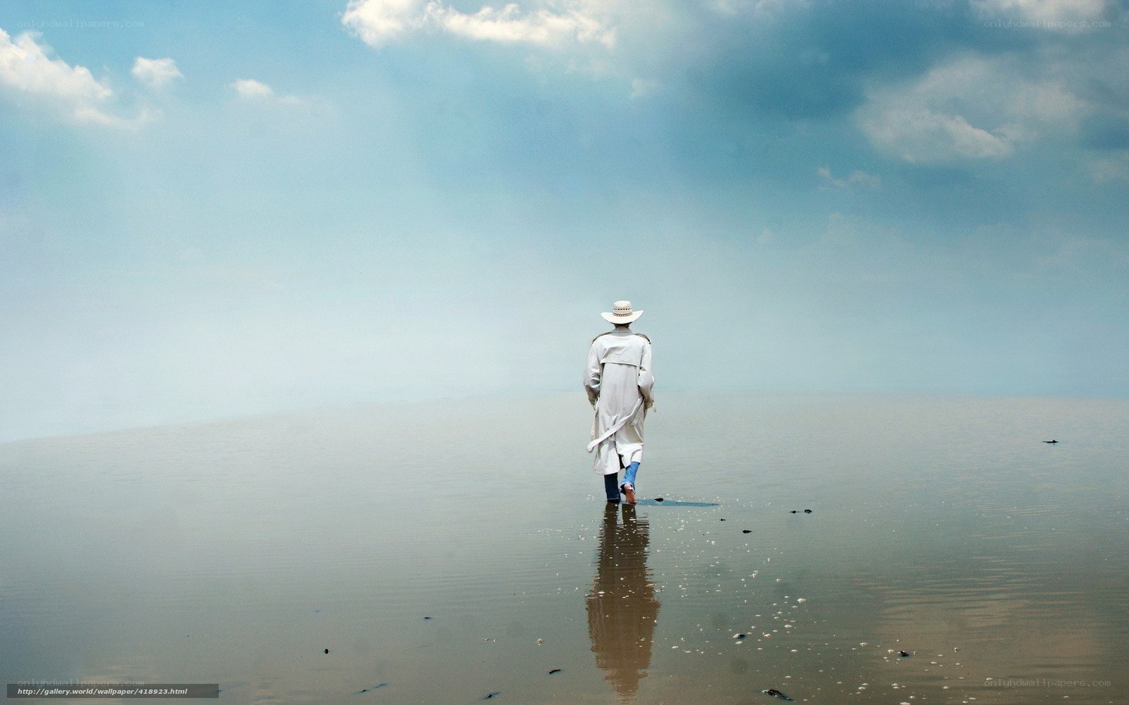 Person walking on wet beach