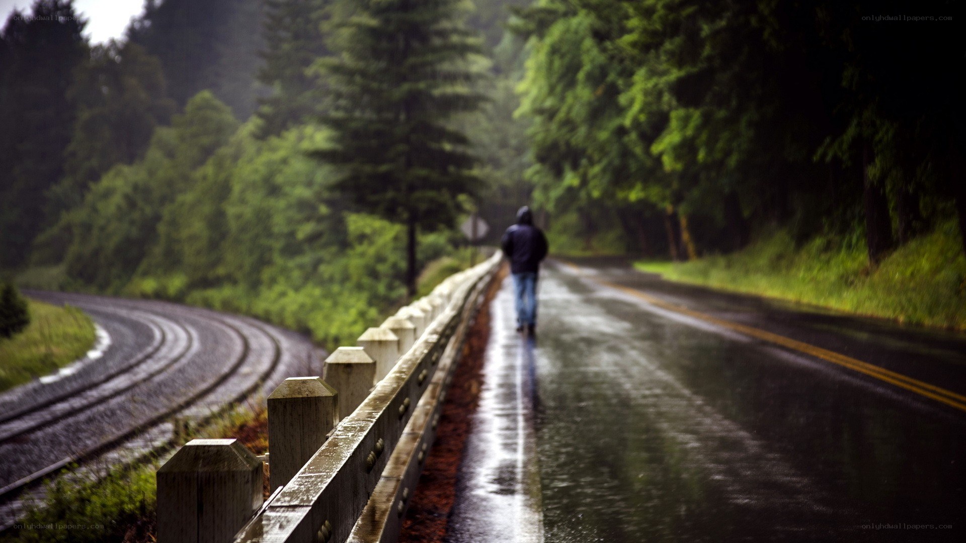 Person walking on wet road
