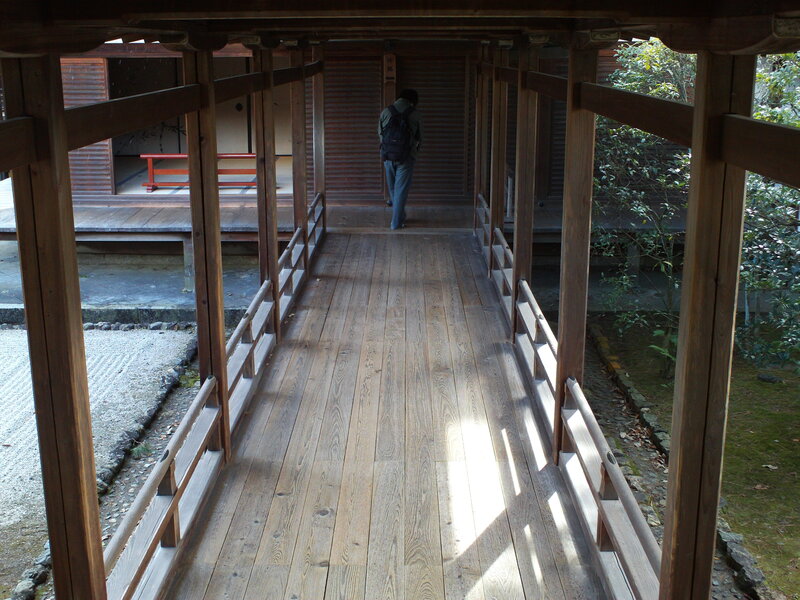 person walking on wooden bridge