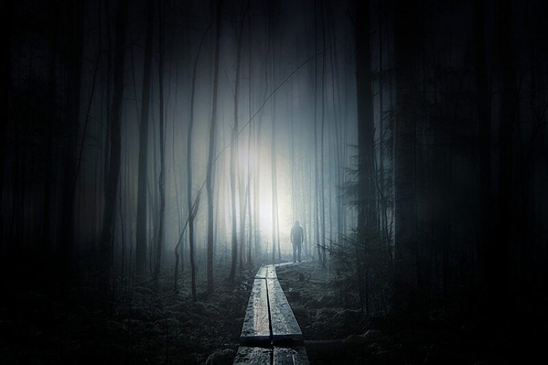 person walking on wooden path in fog