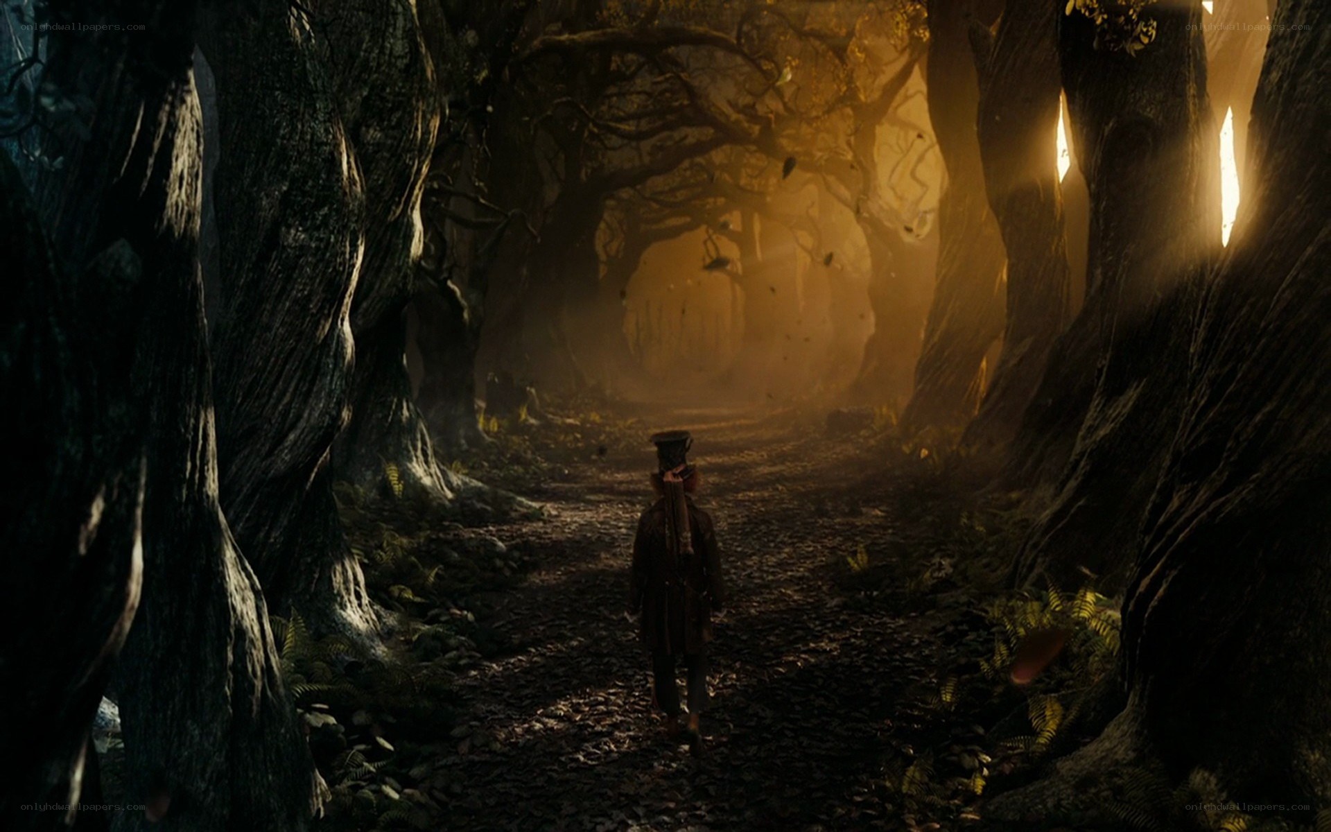 person walking through a forest