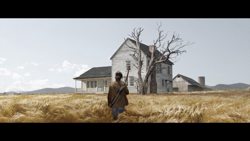 Person Walking Through Field