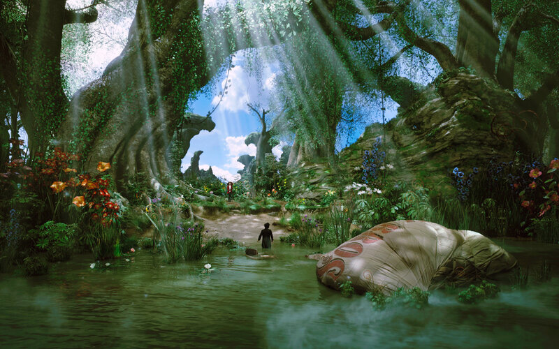 Person Walking Through Forest