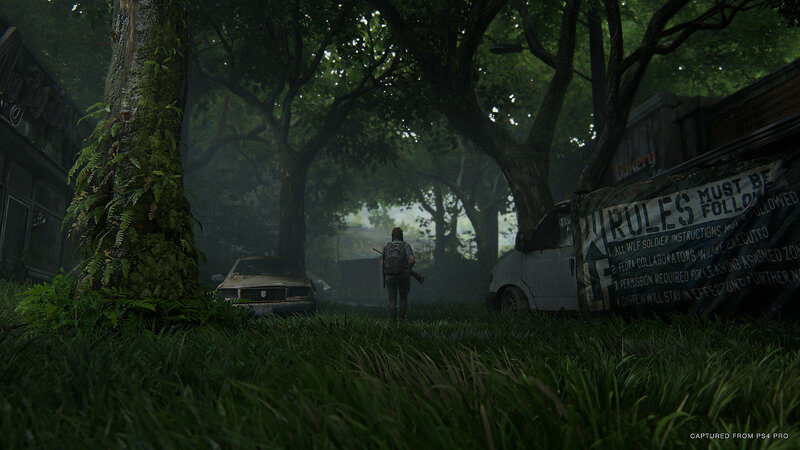 Person Walking Through Overgrown Area
