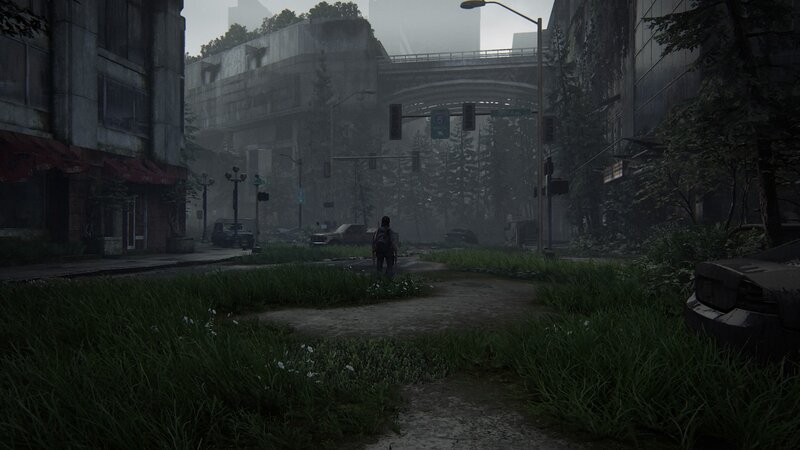 Person Walking Through Overgrown Street