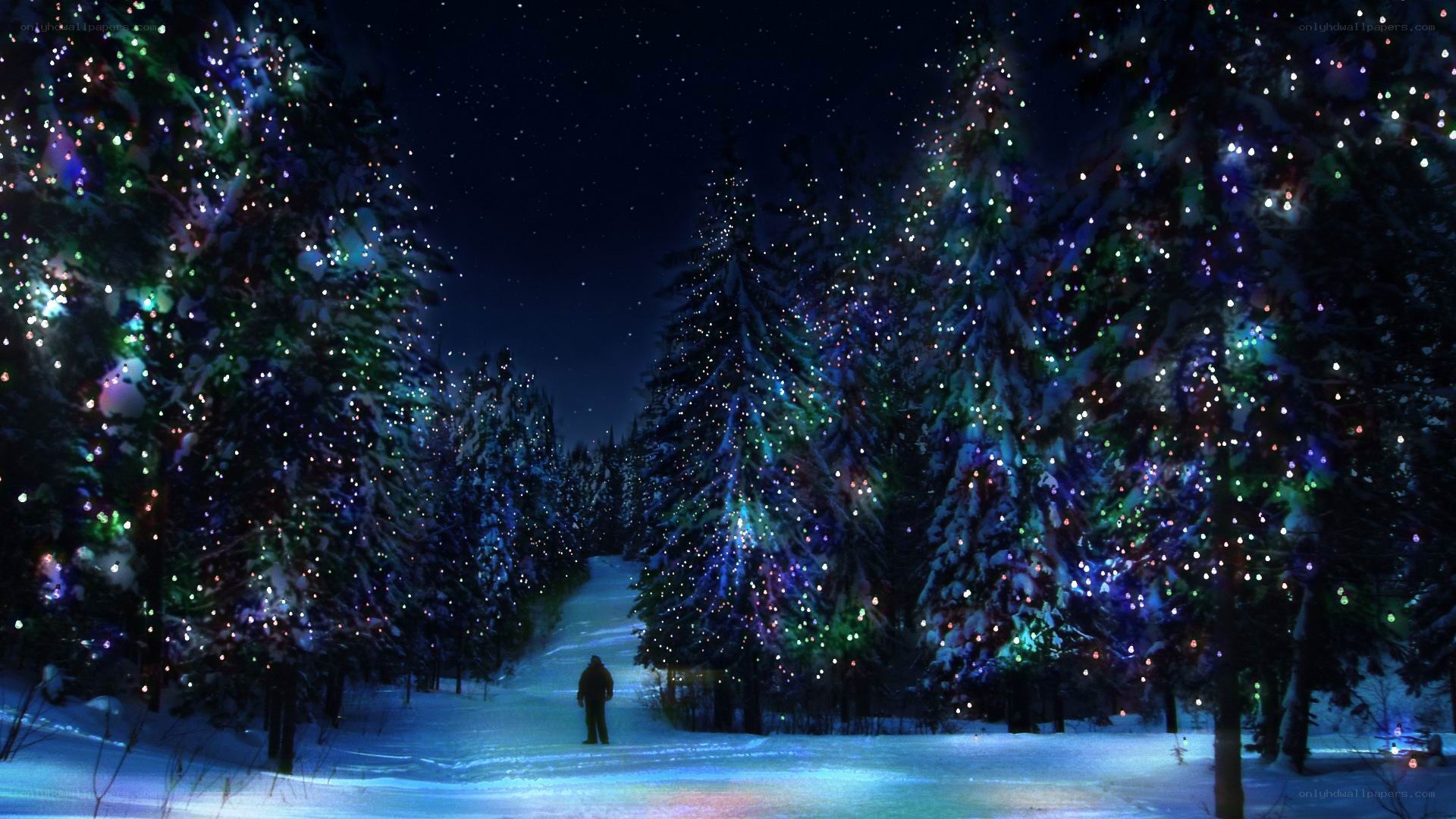 person walking through snowy forest