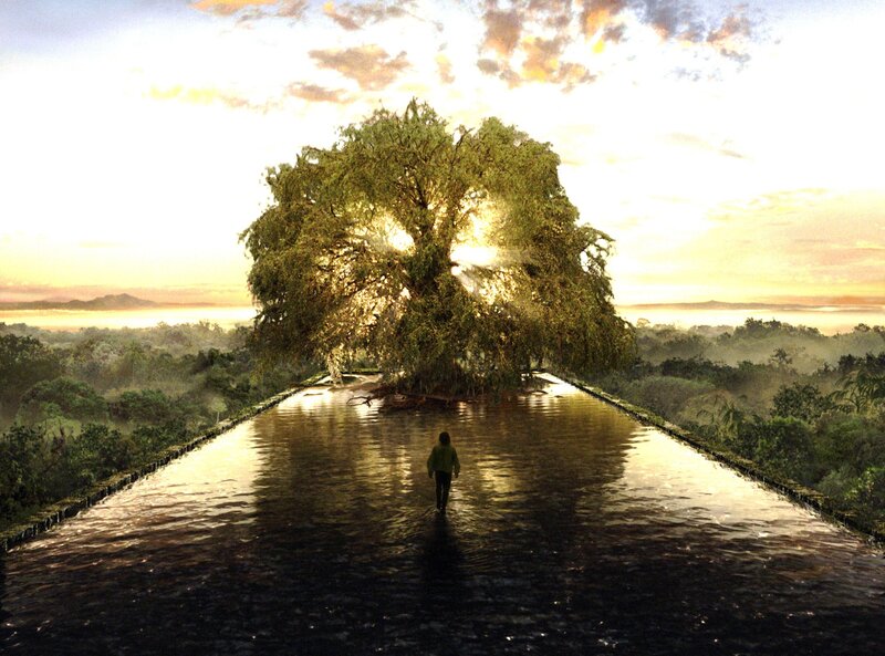 person walking to a tree at sunset