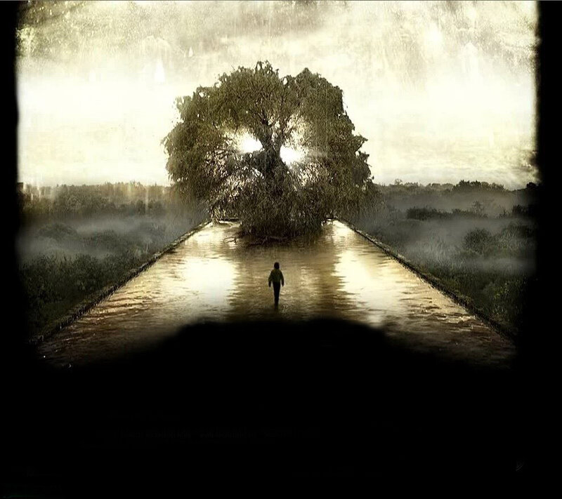 person walking toward a glowing tree