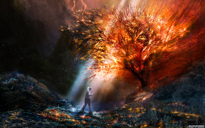 Person Walking Toward Tree — Orange