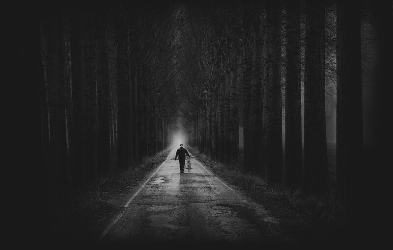Person Walking with Bicycle