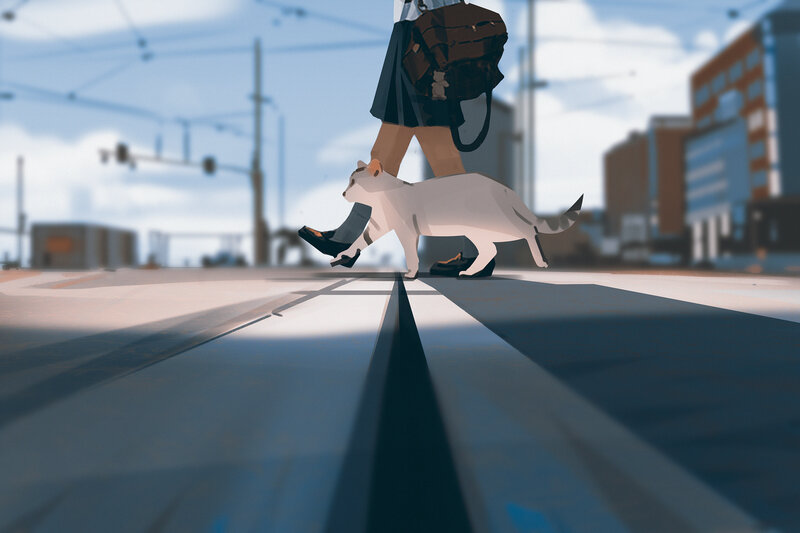 Person Walking with Cat