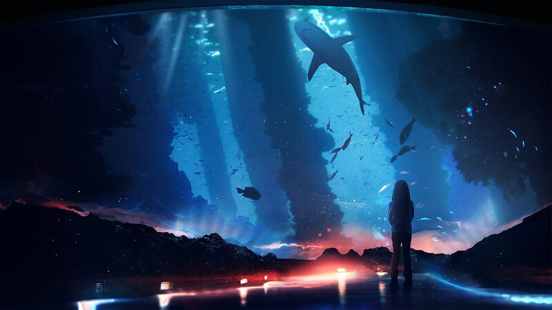 Person Watching Aquarium — Blue