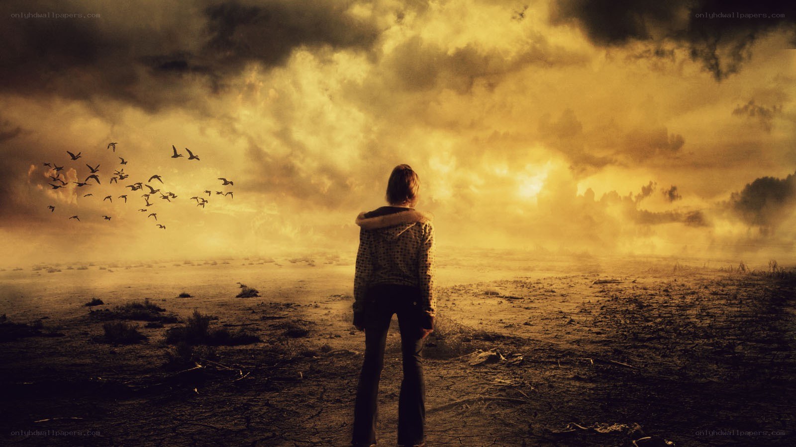 person watching birds at sunset