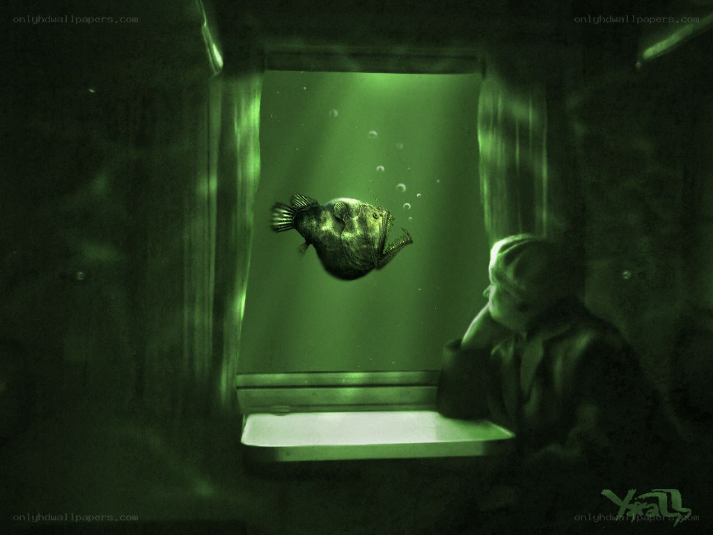person watching fish underwater