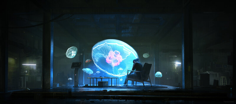 Person Watching Jellyfish
