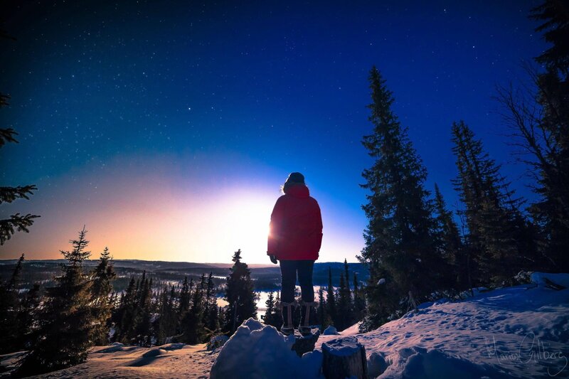 Person watching stars at night