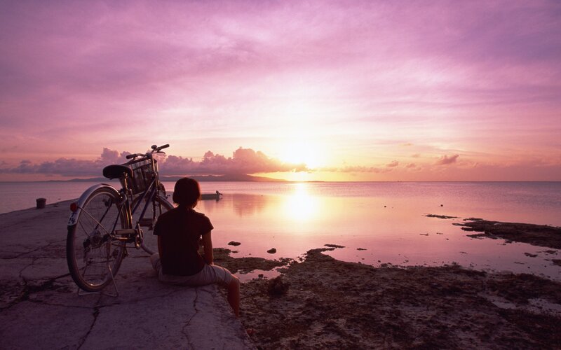 Person watching sunset by the sea
