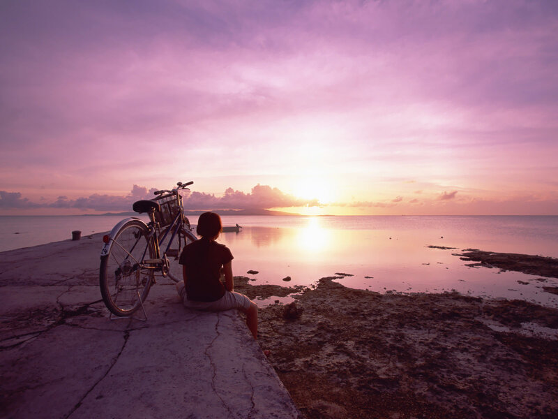 Person watching sunset by the sea