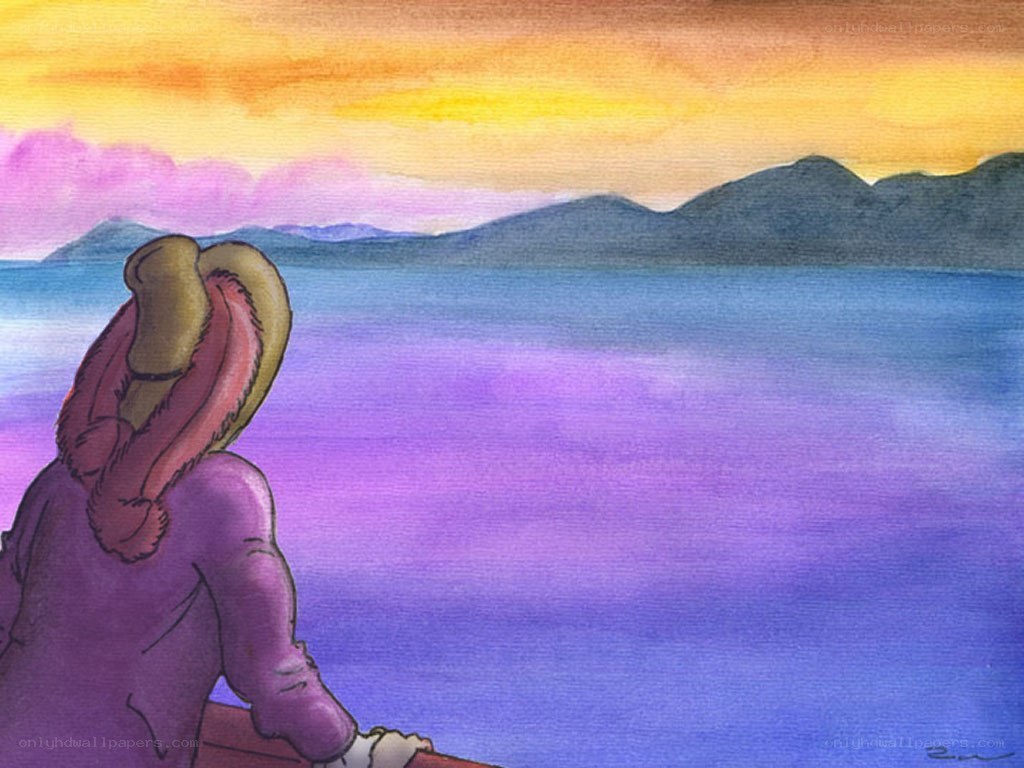 person watching sunset over water