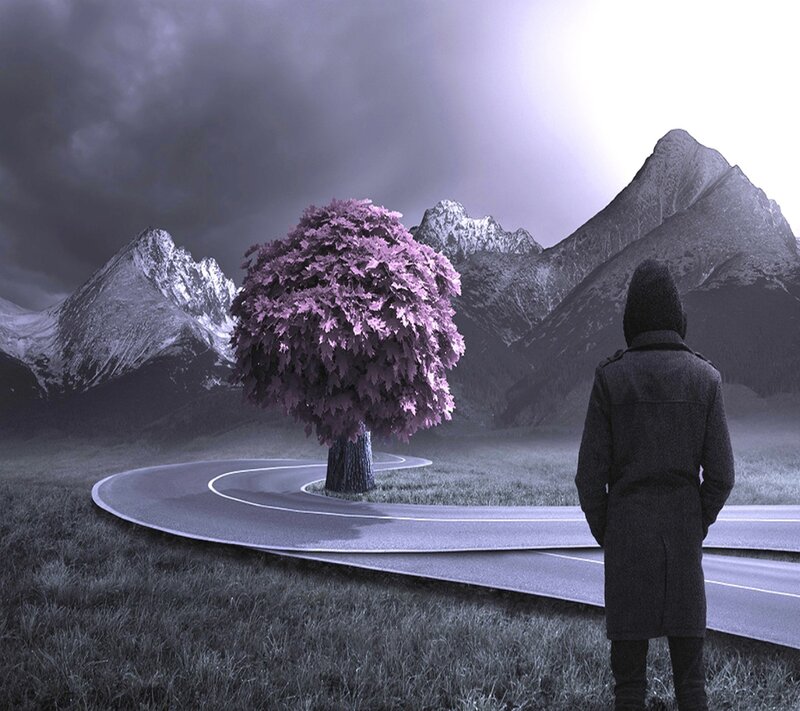 Person Watching Tree — Purple