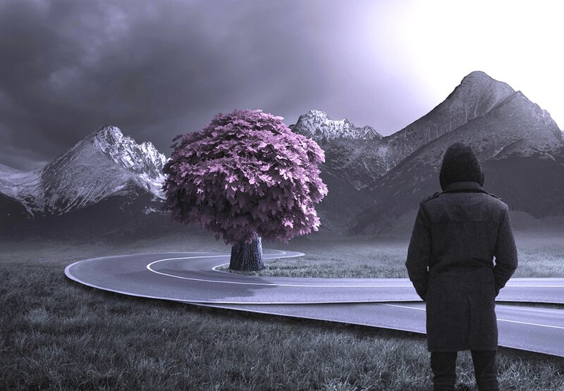 Person Watching Tree