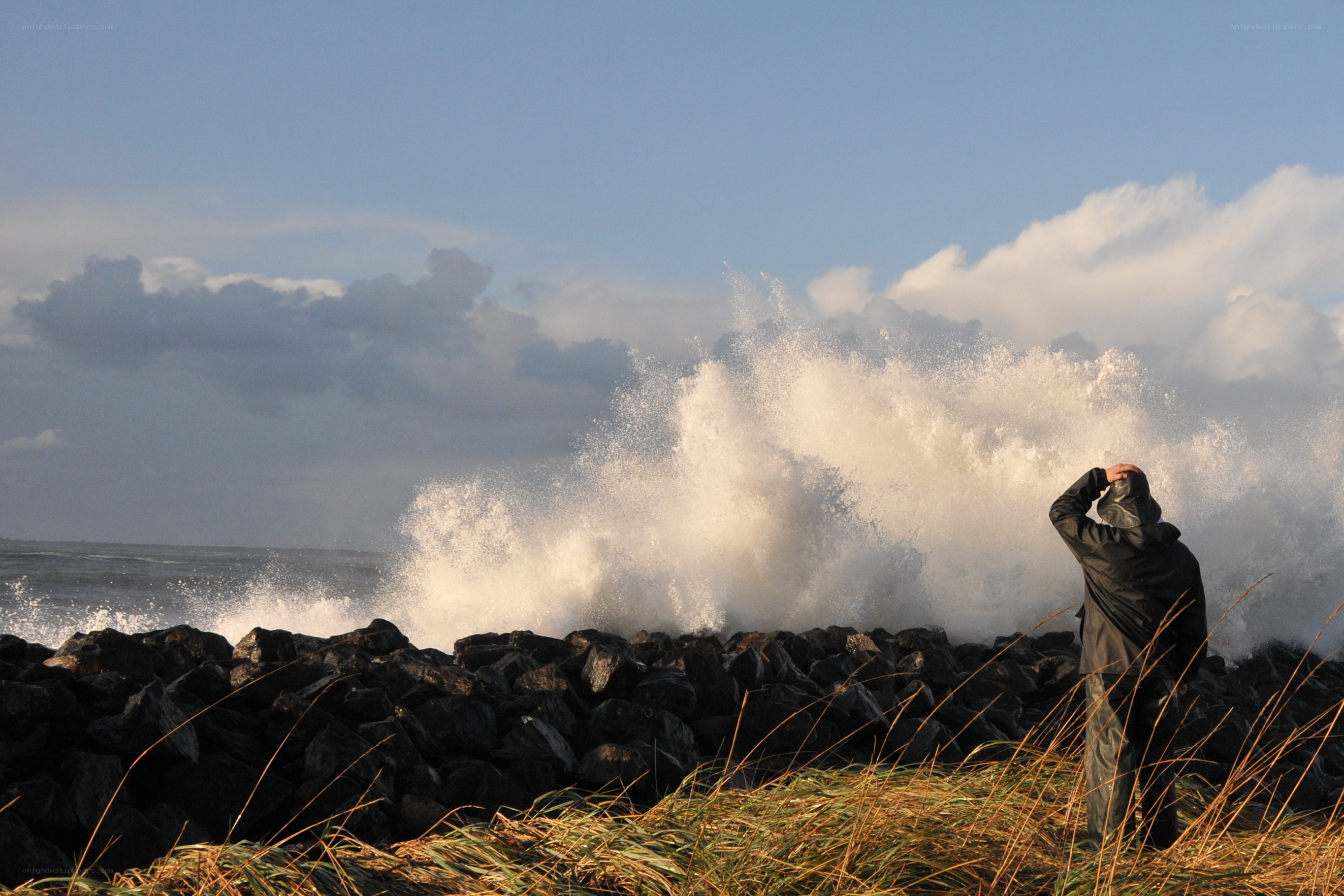 Person watching waves crash on rocks