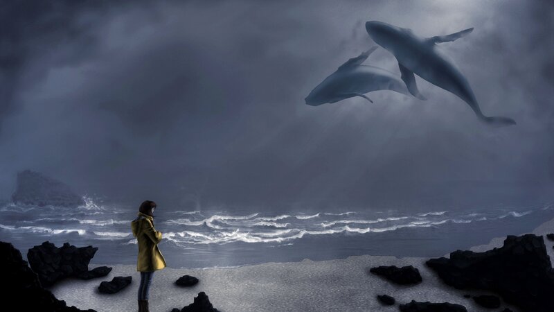 Person Watching Whales