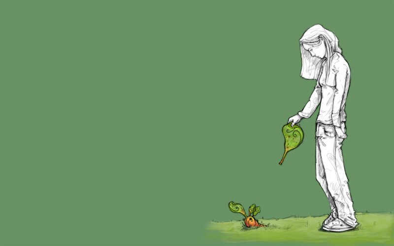 person watering a plant