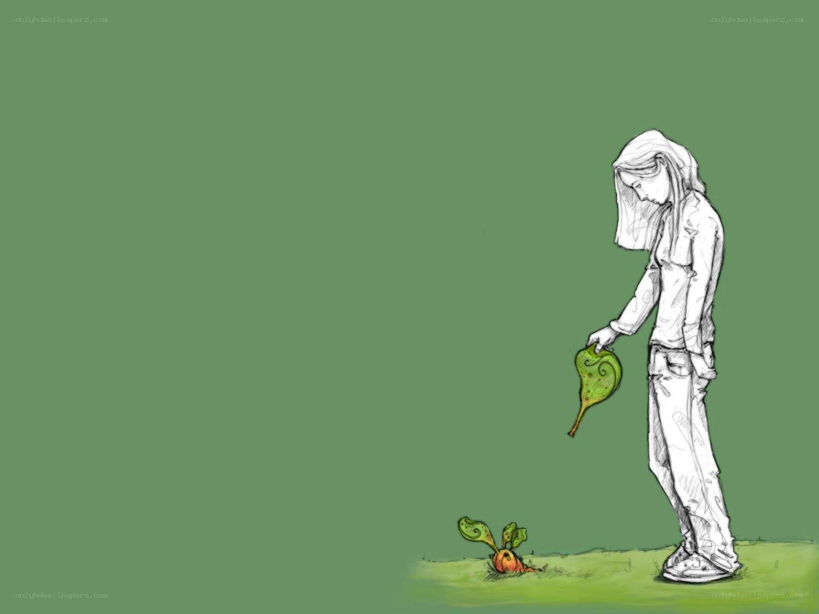 person watering a plant