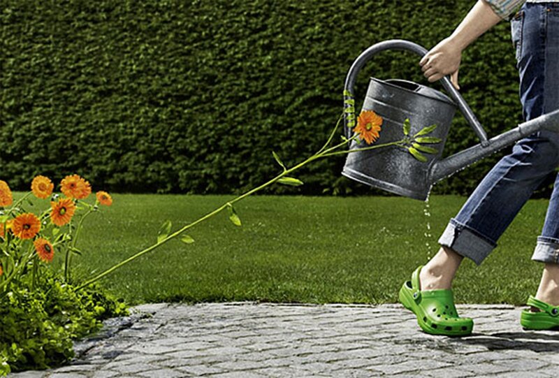 Person Watering Flowers — Green