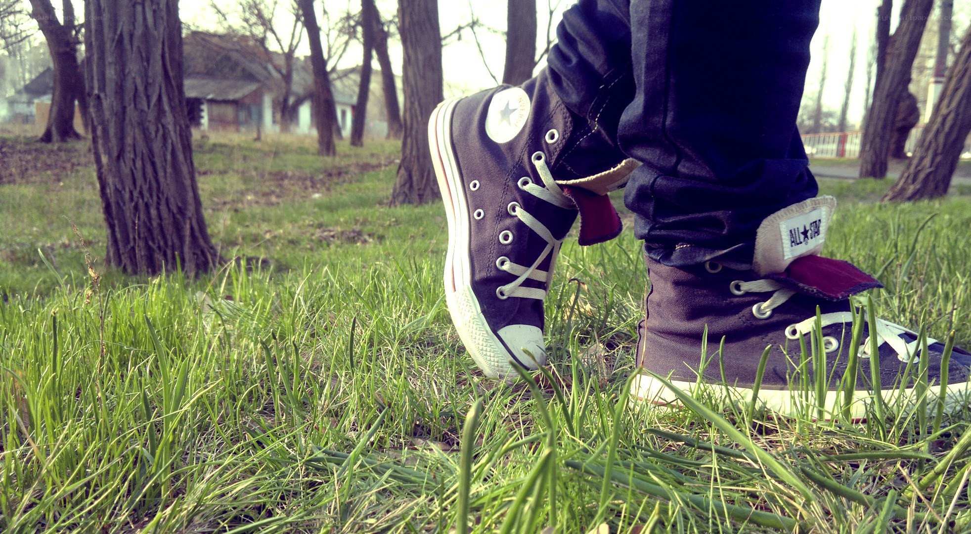 person wearing converse sneakers