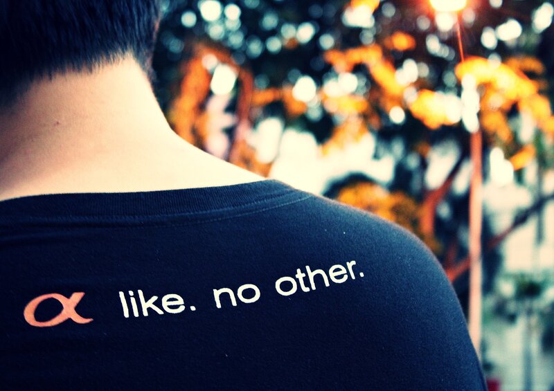 Person Wearing T-shirt