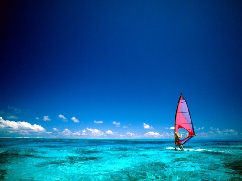 Person Windsurfing