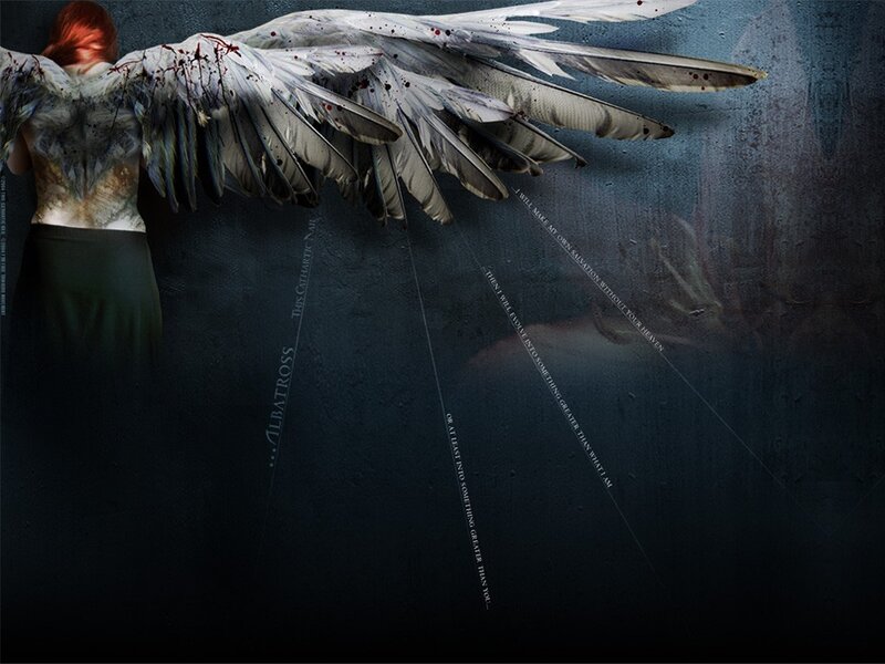 Person with Angel Wings — Black, Dark, Digital Art
