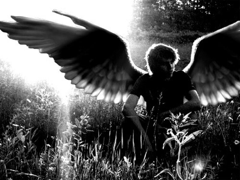 person with angel wings in field