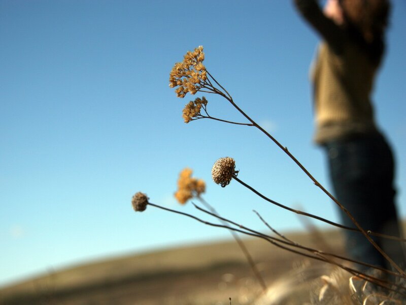 person with arms raised in field