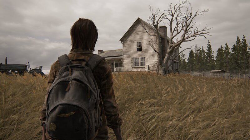 Person with Backpack — Brown, Somber