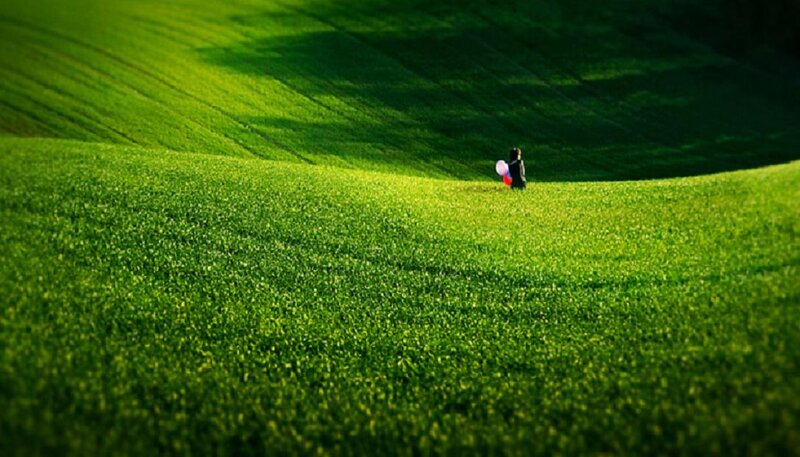 Person with Balloons in Field