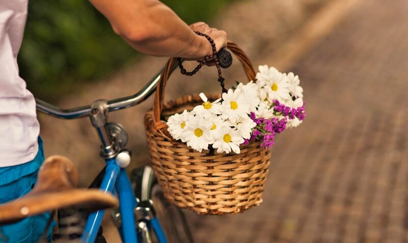 Person with Bicycle Basket