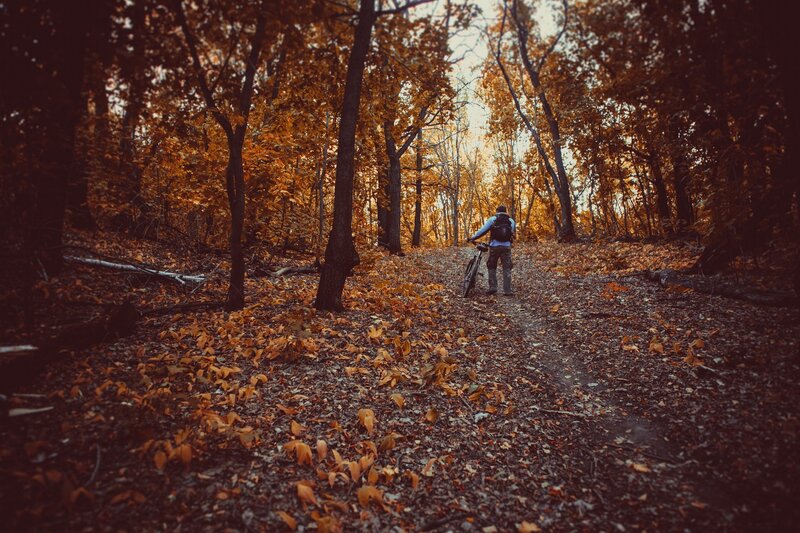 Person with Bicycle in Forest
