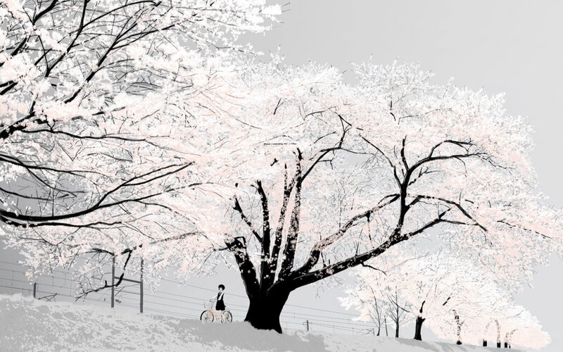 Person with Bicycle under Tree — White