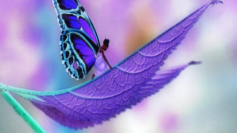 Person with Butterfly Wings — Purple, Dreamy