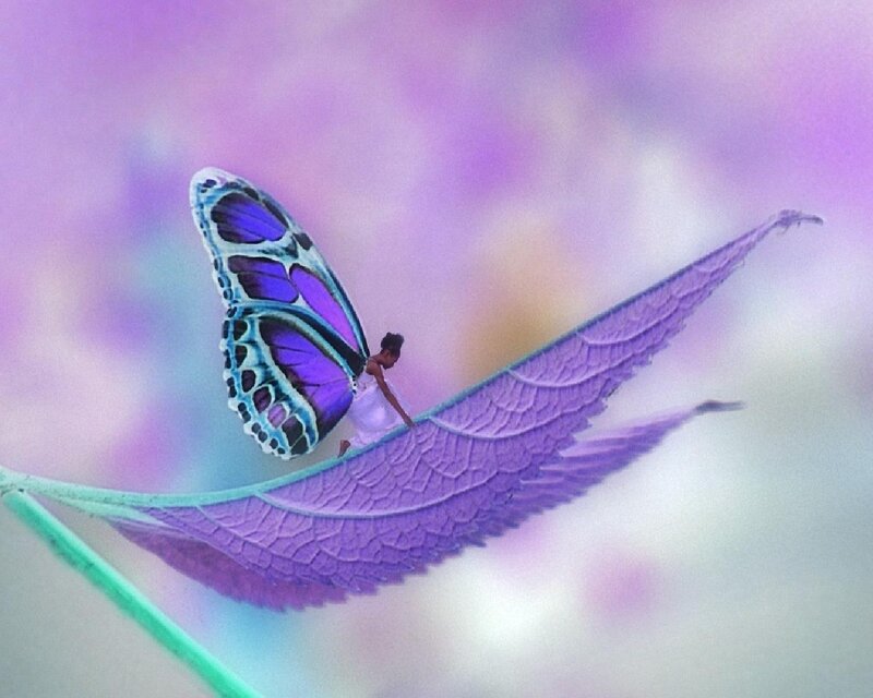 Person with Butterfly Wings — Purple
