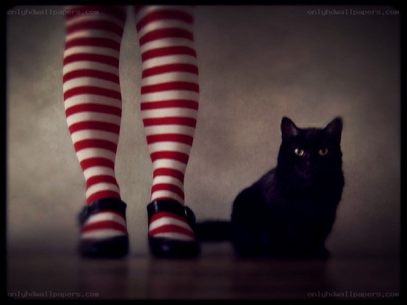 person with cat in striped tights