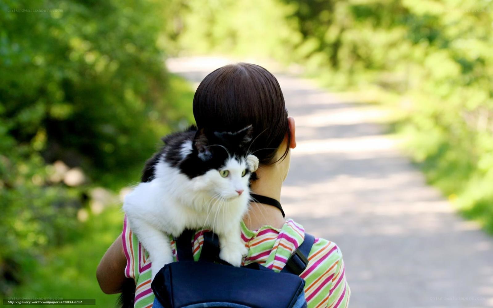 person with cat on back