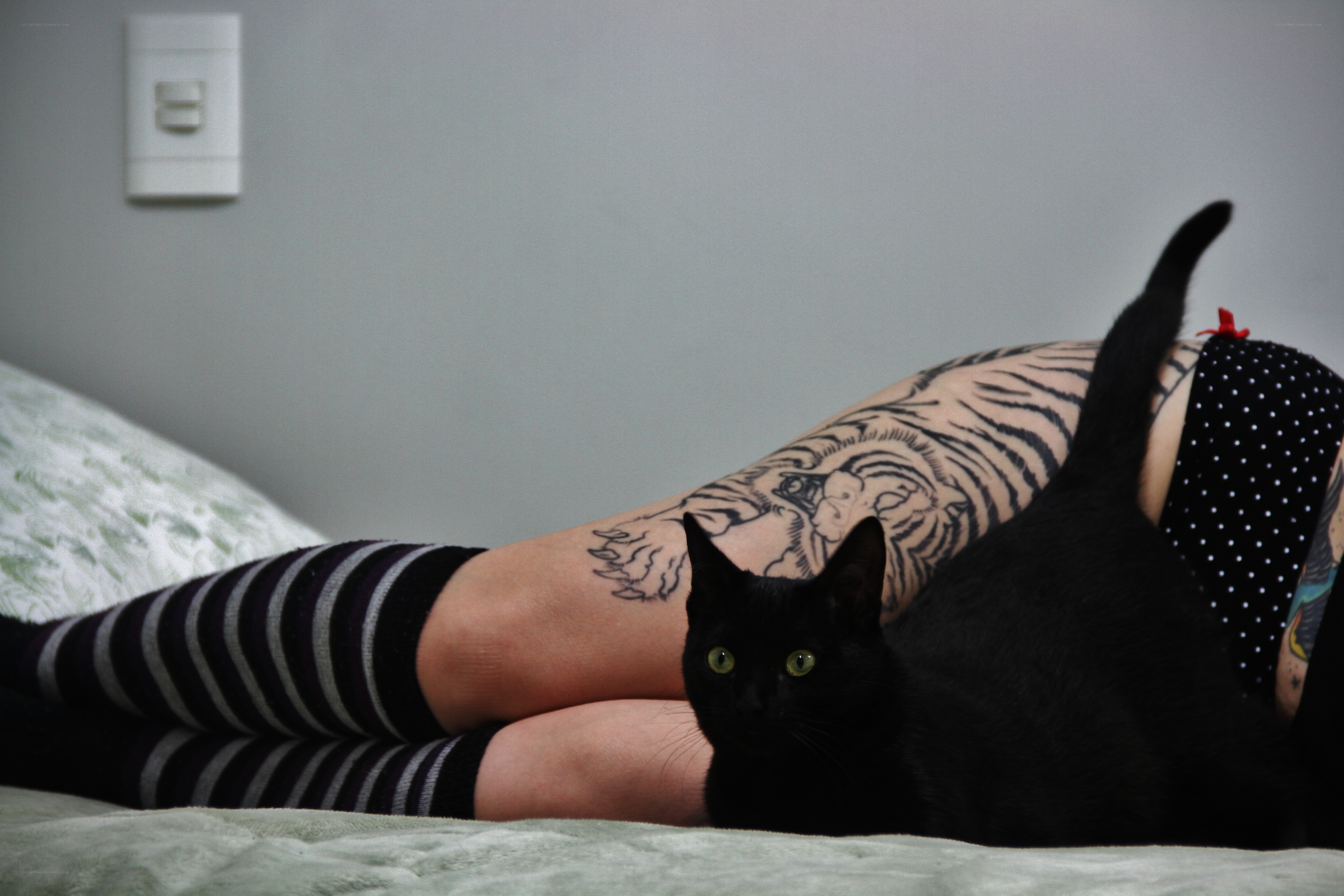 person with cat on bed