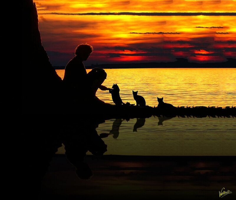 Person with Cats at Sunset