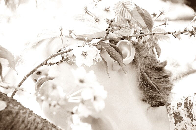 Person with Cherry Blossoms — Black, Serene
