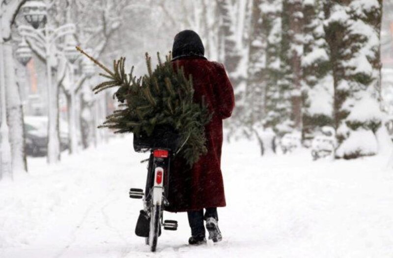 Person with Christmas Tree