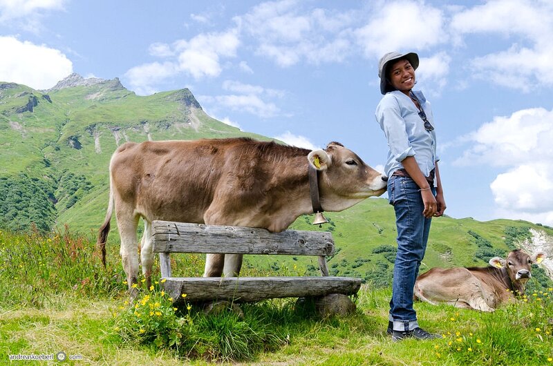 Person with Cow in Mountains